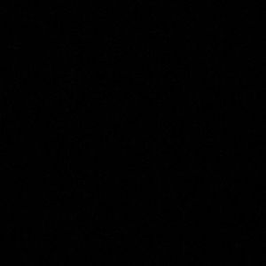 Meet your Posher, Bailey